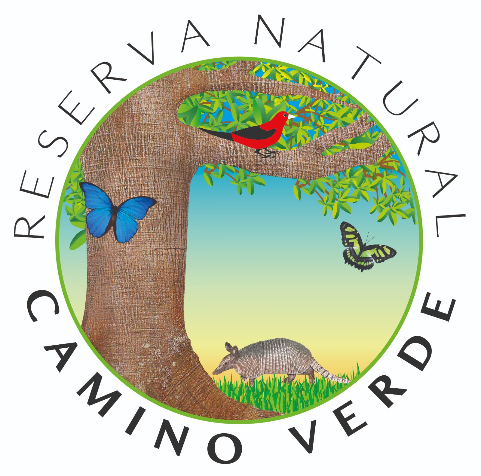 Camino Verde