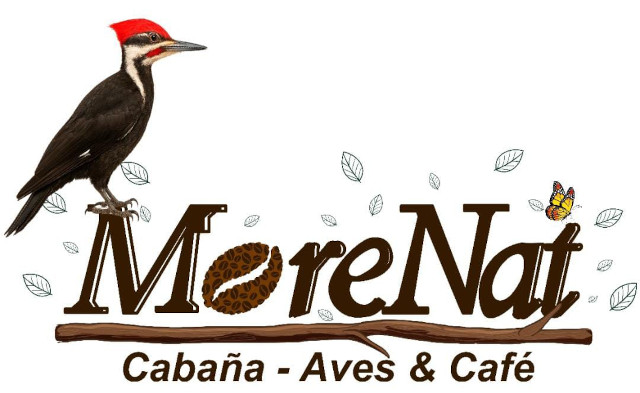 logo_morenat