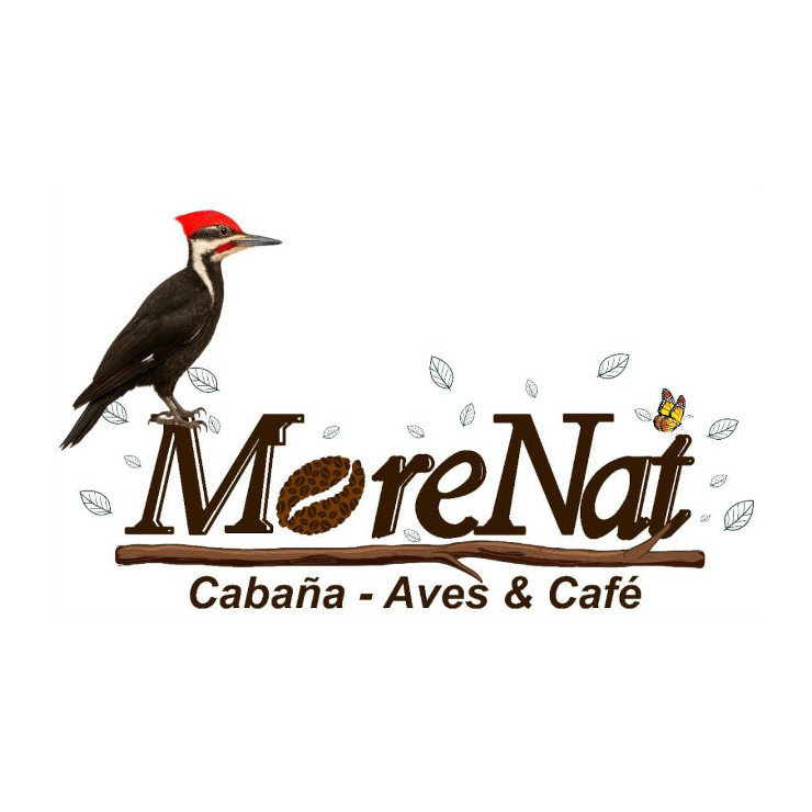 logo_morenat_740x740