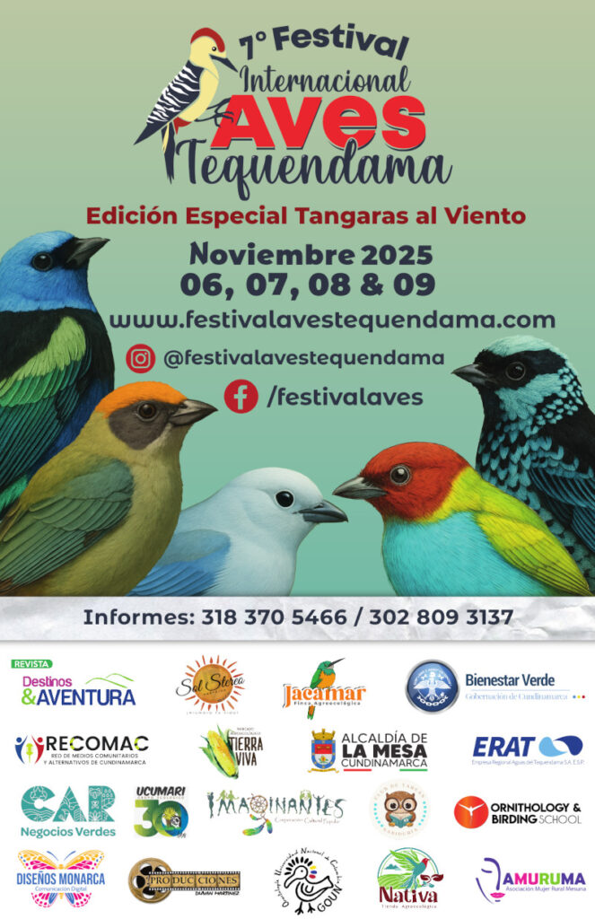 afiche_7v2
