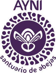 logo_ayni